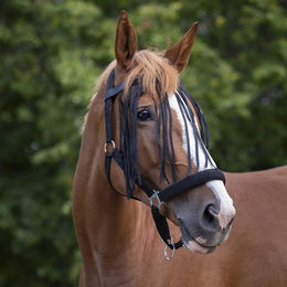 Produktbild von Stirnband für Pferd Norton Chasse-mouches