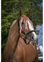 Produktbild von Stirnband für Pferd Norton Chasse-mouches
