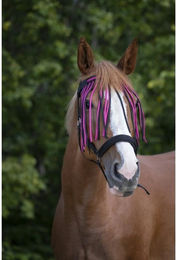 Produktbild von Stirnband für Pferd Norton Chasse-mouches