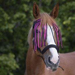 Produktbild von Stirnband für Pferd Norton Chasse-mouches
