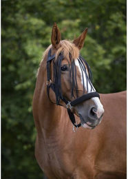 Produktbild von Stirnband für Pferd Norton Chasse-mouches
