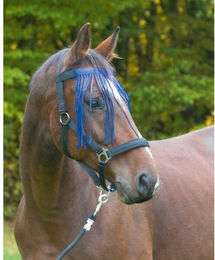 Stirnband gegen Fliegen Kerbl – Bild 1 von 2