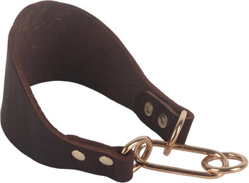 Produktbild von Strapazierfähiges Tragbares Verbreitertes Haustierhalsband für Kleinen Hund Greyhound Whippet mit Nietbefestigung Braun