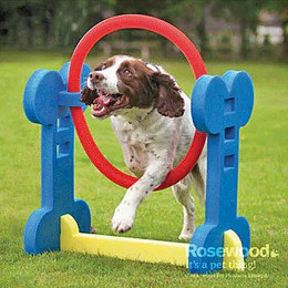 Produktbild von Strategiespiel für Hunde Agility Reifen Difac