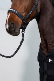 Produktbild von Strick ES Regular Panic Dynamic 2024