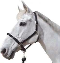 Produktbild von Strickhalfter für Pferde Canter