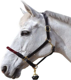 Produktbild von Strickhalfter für Pferde Canter