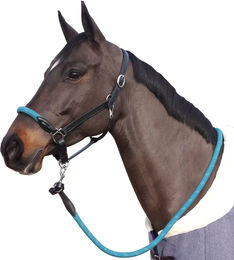 Produktbild von Strickhalfter mit weißen Schlaufen für Pferde Canter