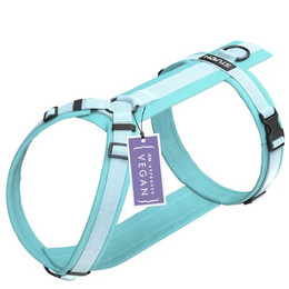 Produktbild von STUCH Hundegeschirr verstellbar gepolstert Nylon türkis XS