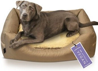 STUCH Ortho Hundebett Perfect Dreams beige S – Bild 1 von 3