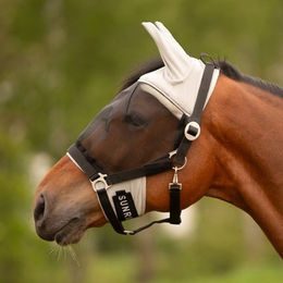 Sunride Dubai Fliegenmaske mit Halfter – Bild 1 von 9