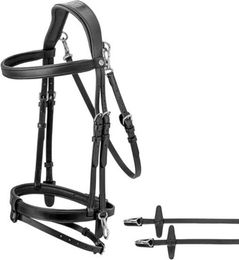 Sunride Englisch kombinierte Trense Berlin mit Zügel – Bild 1 von 9