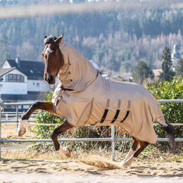 Sunride Fliegendecke Kuba – Bild 1 von 9