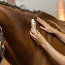 Produktbild von Sunride Herbal Healing Hautöl - 100 ml