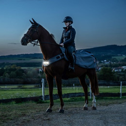 Produktbild von Sunride LED-Ausreitdecke New York