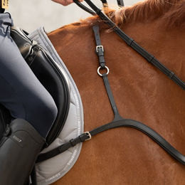 Sunride Vorderzeug Ascot mit Martingal – Bild 1 von 5