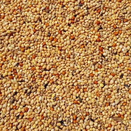 Produktbild von Supravit Exotenfutter - hochwertiges Mischfutter für exotische Finken - enthält wertvolle Hirse & Saaten I kräftigt das Federkleid & unterstützt die Paarungsbereitschaft beim Vogel…
