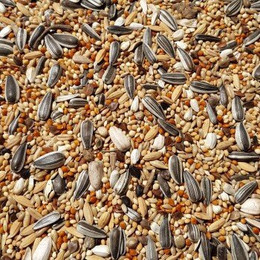 Produktbild von Supravit Großsittichfutter - 5 kg