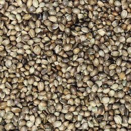 Produktbild von Supravit Hanf 2.5kg Wildvogelfutter