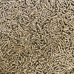 Produktbild von Supravit Hasenfutter & Kaninchenfutter - Alleinfutter für Zwergkaninchen, Kaninchen & Hasen - ideal als Zucht und Aufzuchtfutter geeignet