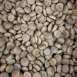 Produktbild von Supravit Hundefutter trocken Getreidefrei | Lamm und Kartoffeln | hohe Verträglichkeit | Gute Akzeptanz | Trockenfutter Hund ohne Getreide | ideal für Sensitive Hunde mit hohem Fleischanteil