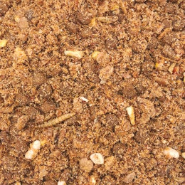 Produktbild von Supravit Igelfutter mit Insekten - Artgerechtes Igel Futter mit Mehlwürmer, Krebstiere, Früchte & Gemüse - Abgestimmt auf die speziellen Ernährungsbedürfnisse 25 kg