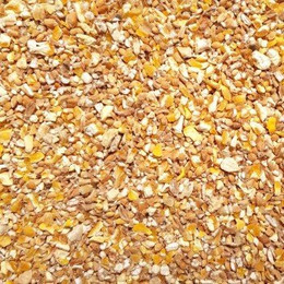 Produktbild von Supravit Kükengrütze 2,5 kg