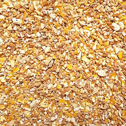 Produktbild von Supravit Kükengrütze - Ergänzungsfutter für Hühner und Ziergeflügel