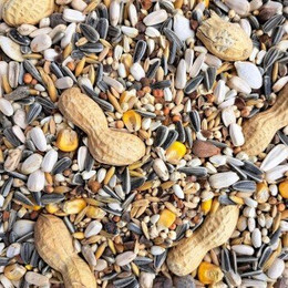 Produktbild von Supravit Papageienfutter - 2,5 kg