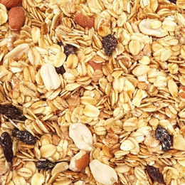 Produktbild von Supravit Premium Fettfutter für Wildvögel 2,5 kg