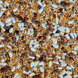 Produktbild von Supravit Vogelfutter Großsittiche Spezial - leicht bekömmliches Sittich Futter ohne Sonnenblumenkerne I schmackhaftes Alleinfutter für Ziervögel & Papageien