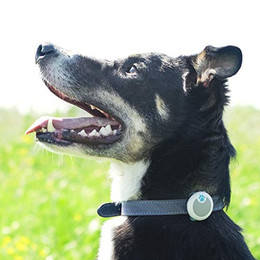 Produktbild von Sure Petcare Animo Aktivitäts- und Verhaltenstracker für Hunde - 1 Stk.