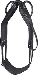 Produktbild von Surfaix für Voltigier- und Longenreiten Star