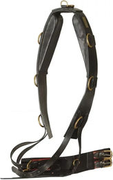 Produktbild von Surfax für Pferd mit Lederkissen Canter