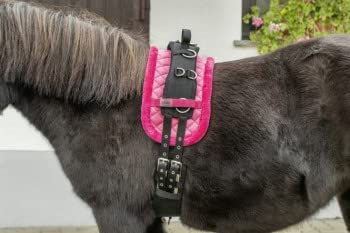 Surfax-Matte Reiten USG – Bild 1 von 2