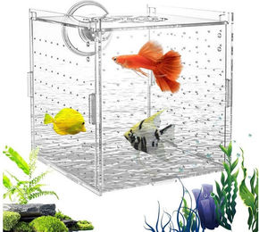 Produktbild von SURFOU Aquarium Aquarium Aufzuchtbox Fischzuchtbox für