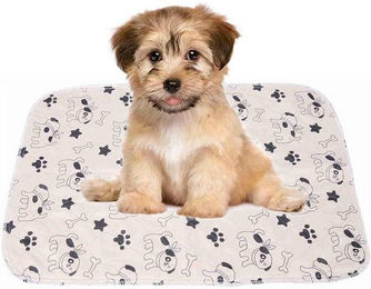 Produktbild von SURFOU Hundematte Waschbar mit wasserdichter Schicht 40x60 cm - 40 cm