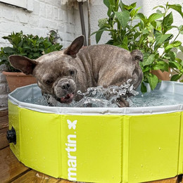 Produktbild von Swimmingpool für Hunde Martin Sellier Pool