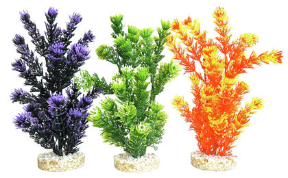 Produktbild von Sydeco Fiesta Aquaplant 24 Zentimeter Aquariendekoration