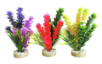 Produktbild von Sydeco Magic Fiesta Colours 16 Zentimeter Aquariendekoration