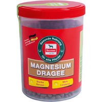 Produktbild von Salvana Magnesium Dragees Mineralfutter für Pferde 750 g - 750 g
