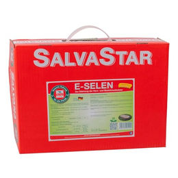 Salvana SalvaStar E/Selen Mineralriegel für Pferde und Ponys 5 kg - 5 kg – Bild 1 von 10