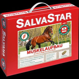 Salvana Salvastar Muskelaufbau Amino-Riegel Nahrungsergänzung 5 kg - 5 kg – Bild 1 von 5