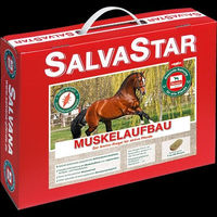 Produktbild von Salvana Salvastar Muskelaufbau Amino-Riegel Nahrungsergänzung 5 kg - 5 kg