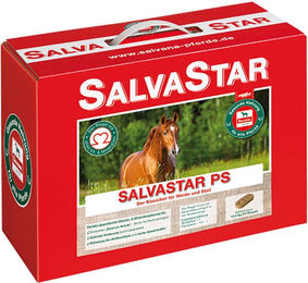 Salvana Salvastar PS Mineralriegel Ergänzungsfutter für Pferde mit Vitaminen 12,5 kg - 12,5 kg – Bild 1 von 11
