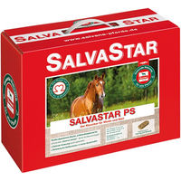 Produktbild von Salvana Salvastar PS Mineralriegel Ergänzungsfutter für Pferde mit Vitaminen 12,5 kg - 12,5 kg