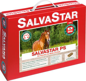 Produktbild von Salvana Salvastar PS Paste Apfel Karotte Nahrungsergänzung für das Immunsystem
