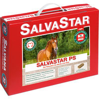 Produktbild von Salvana Salvastar PS Paste Apfel Karotte Nahrungsergänzung für das Immunsystem