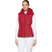 Produktbild von Samshield Chamonix-Ice Light Daunenweste für Damen