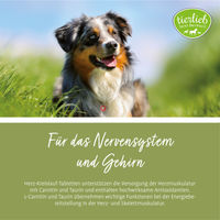 Produktbild von Sanct Bernhard tierlieb Herz-Kreislauf Tabletten für Senioren Hunde mit Vitaminen